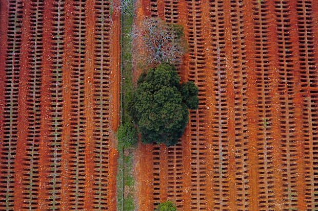 An aerial view of open graves amidst the coronavirus (COVID-19) pandemic at Vila Formosa Cemetery on May 18, 2020 in Sao Paulo, Brazil. The Vila Formosa Cemetery is the largest in Latin America and compared to data from a year ago, the cemetery had an increase of 50 per cent in number of burials