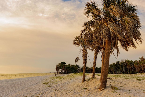 Delnor-Wiggins Pass State Park beach made the list.