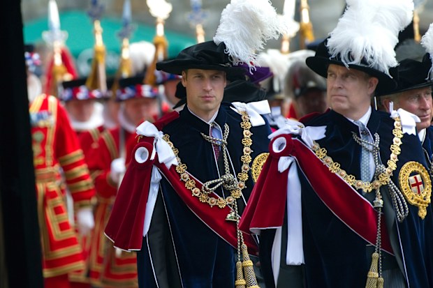 prince andrew and prince willliam