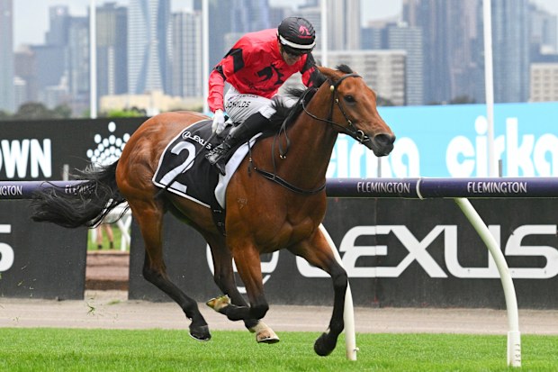 Jordan Childs riding Just Fine winning the The Lexus Bart Cummings.