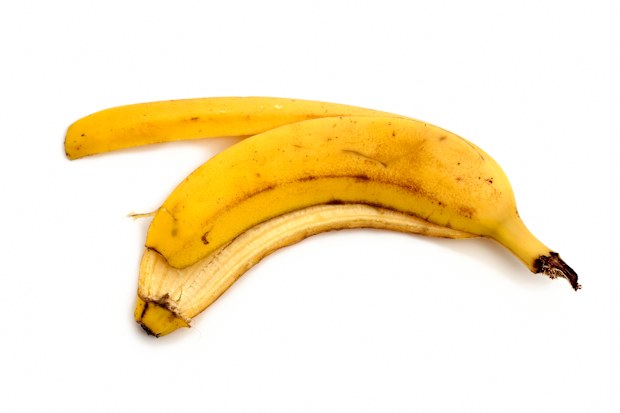 banana skins