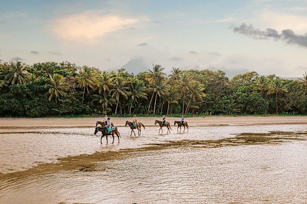 Group riding their horses along Myall Beach in Cape Tribulation