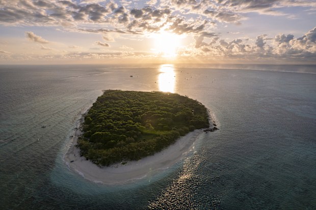 Aerial view of Lady Musgrave island at sunrise