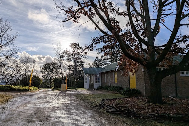 bowral honey farm tour southern highlands