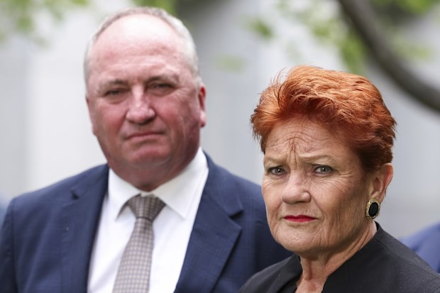 Member for New England Barnaby Joyce and One Nation leader Senator Pauline Hanson during a press conference at Parliament House in Canberra on Monday 19 January 2026. fedpol Photo: Alex Ellinghausen