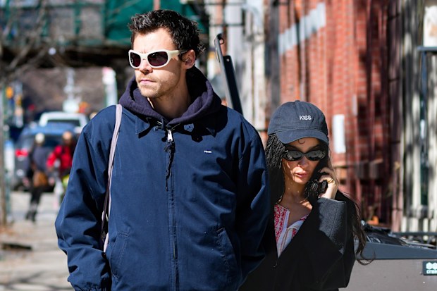 Harry Styles and Zoe Kravitz