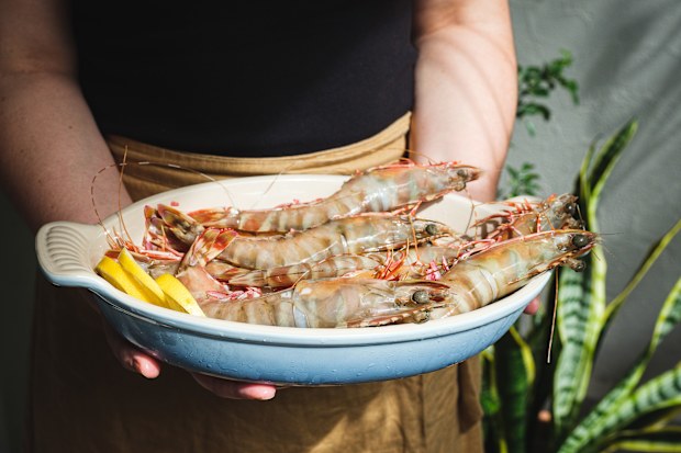 Prawn hacks Courtney Roulston