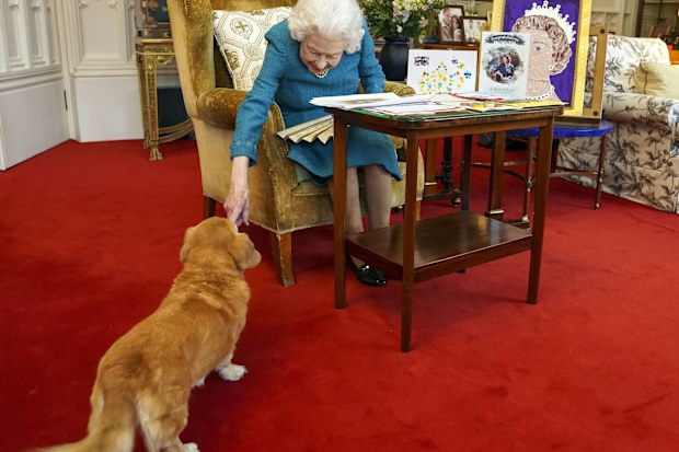 EMBARGOED TO 1800 GMT Friday February 4, 2022. Queen Elizabeth II is joined by one of her dogs, a Dorgi called Candy, as she views a display of memorabilia from her Golden and Platinum Jubilees in the Oak Room at Windsor Castle. Issue date: Friday February 4, 2022. PA Photo. The Queen has since travelled to her Sandringham estate where she traditionally spends the anniversary of her accession to the throne - February 6 - a poignant day as it is the date her father King George VI died in 1952. Se