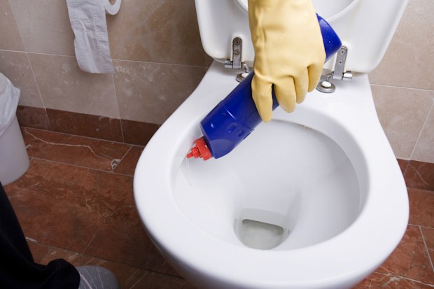 cleaning toilet with bleach, Toilet series