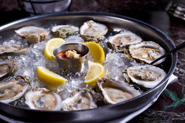 Oysters