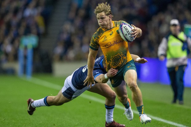 Michael Hooper in action during the Spring Tour match against Scotland.