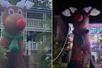 Giant Rudolph Christmas lights