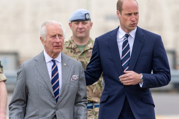 charles and william joint appearance