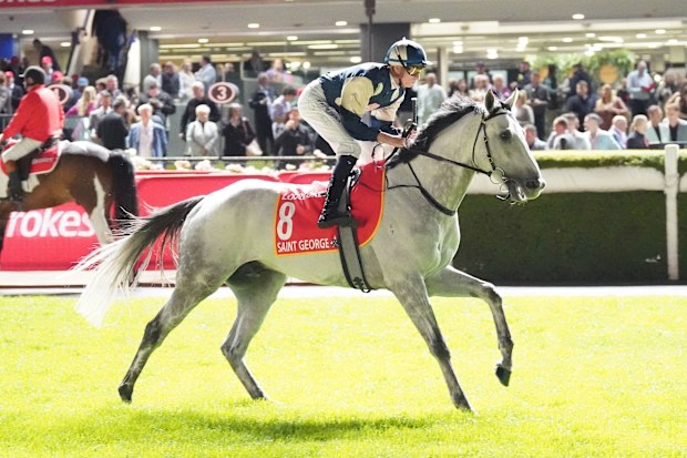 Saint George in the Ladbrokes Moonee Valley Gold Cup.