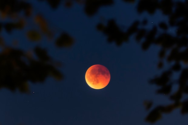blood moon