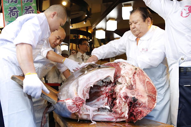 Tuna auction