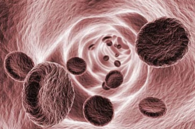 Microscopic image of blood cells in artery (Getty)