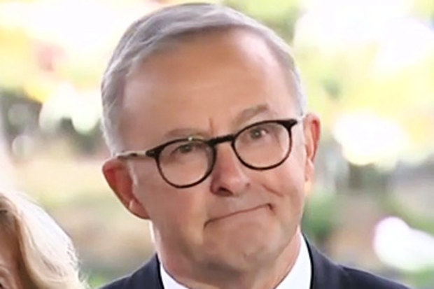 Anthony Albanese unable to recall unemployment rate (Nine)