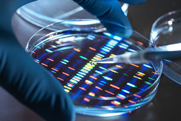 Stock image of DNA testing (Getty)