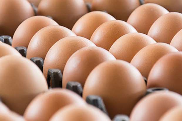 Trays of brown eggs (Getty)