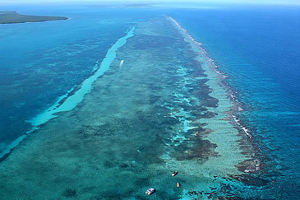 Second largest coral reef (Getty)
