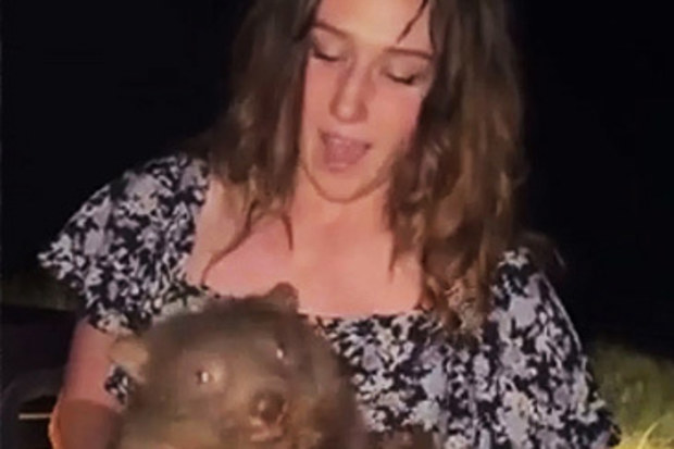 Sam Jones with wombat joey (samstrays_somewhere)