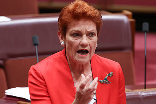 Pauline Hanson in Australian Senate (Alex Ellinghausen/Nine)