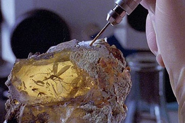 Still of mosquito in amber in Jurassic Park (Universal)