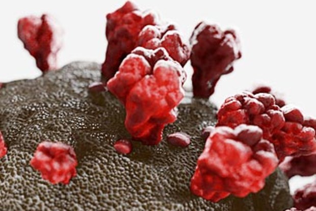 3D illustration of novel coronavirus (Getty)
