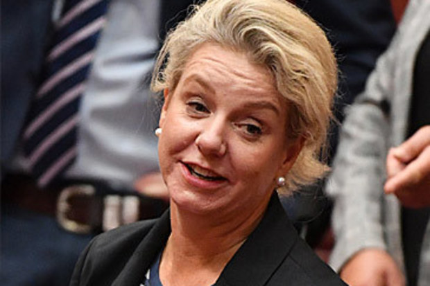 Bridget McKenzie (AAP)