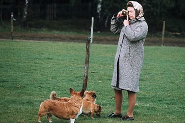 Elizabeth II and corgis