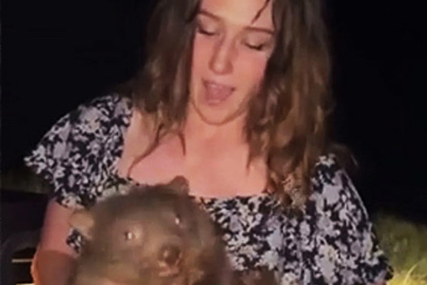 Sam Jones with wombat joey (samstrays_somewhere)