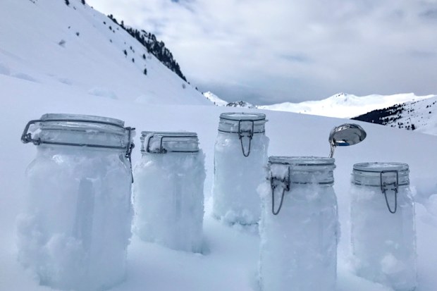 Scientists of the 'Helmholtz centre for polar and marine research the Alfred Wegener institute' say they proved plastic in the snow of the Alps and the Arctic. 