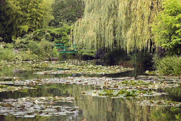 The famous lily pond of the painter Monet in Giverny.