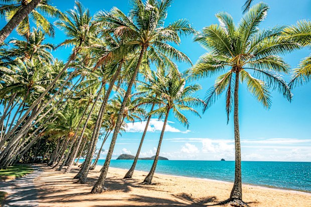 Palm Cove near Cairns.