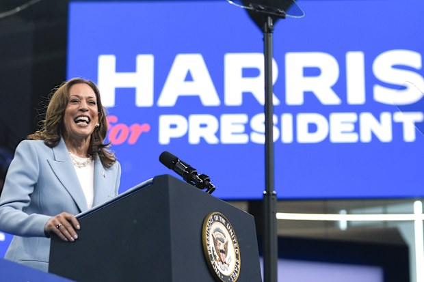 Vice President Kamala Harris speaks during a campaign rally, July 30, 2024, in Atlanta.  