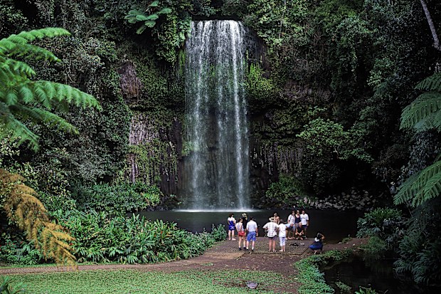 Millaa Millaa waterfall