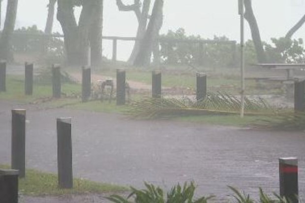 Cyclone Alfred Palm Cove Queensland