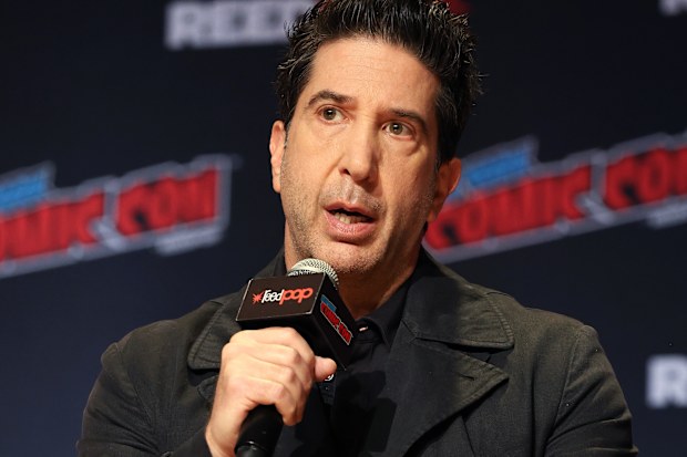 David Schwimmer