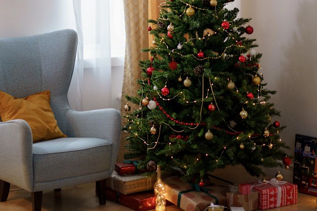 Stock photo of a Christmas tree.