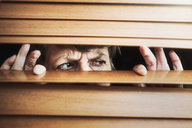 nosy neighbour
