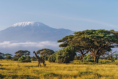 9. Kenya