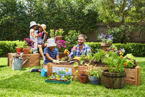 Woolworths Discovery Garden 
