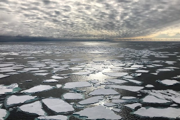 Ice floes are shown in the Fram Strait between Greenland & Svalbard, the main gateway through which sea ice leaves the Arctic Ocean. Sea ice in the Arctic has been declining dramatically as the region warms.