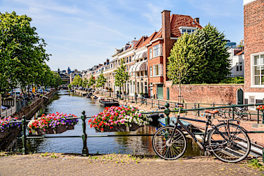 5. Netherlands
