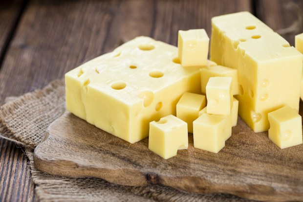 Swiss Cheese