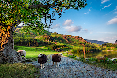 3. The Lake District, England