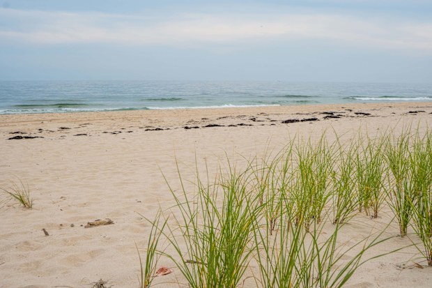 Coopers Beach in Southhampton, New York was a previous winner.