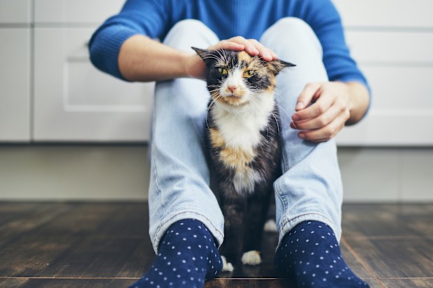 Young man siiting on floor in home kitchen and stroking his cute cat.