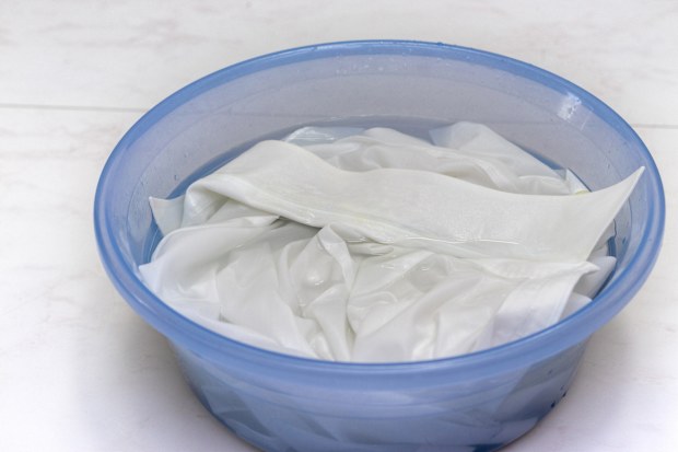 White clothes soaked in water in a basin stock